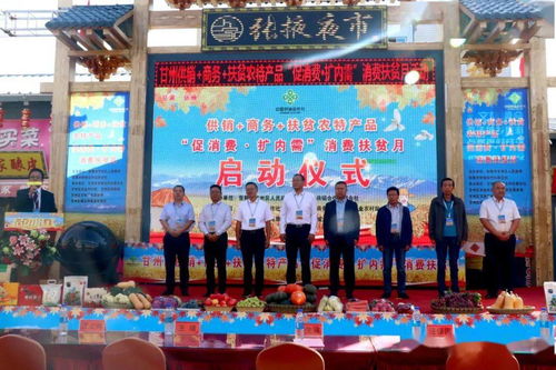 甘州区多措并举促消费扩内需，消费扶贫月活动助力乡村振兴