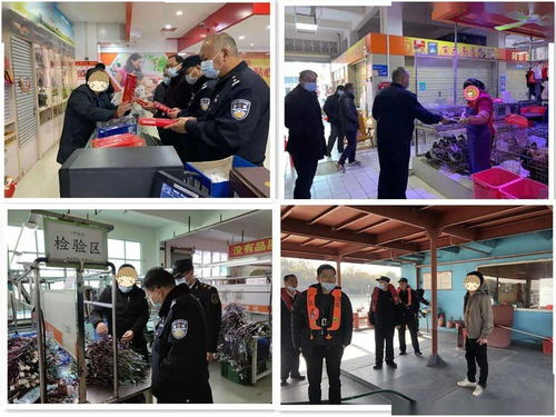 筑牢节日防线 英德开展打击应节商品走私统一检查行动，并借力体验式拓展活动深化团队协作与策略规划